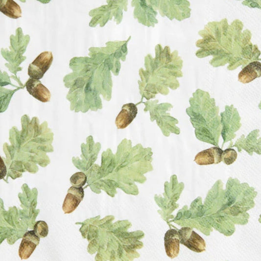 Estampado de bellotas en su tallo y hoja sobre fondo lanco.