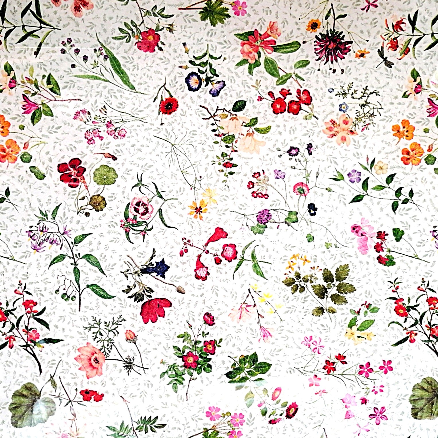 "Patrón floral botánico sobre fondo blanco con textura moteada. Presenta una variedad de flores silvestres y elementos naturales en colores vibrantes incluyendo rosas rojas, flores moradas, amarillas, naranjas y rosas, acompañadas de hojas verdes, ramas delicadas y pequeños frutos. El estilo es orgánico y natural, con flores dispersas de diferentes tamaños creando un diseño romántico y primaveral."